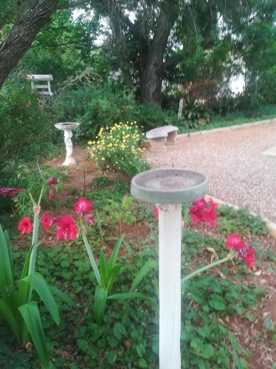 Mulberry Place Cradock Buitenkant foto