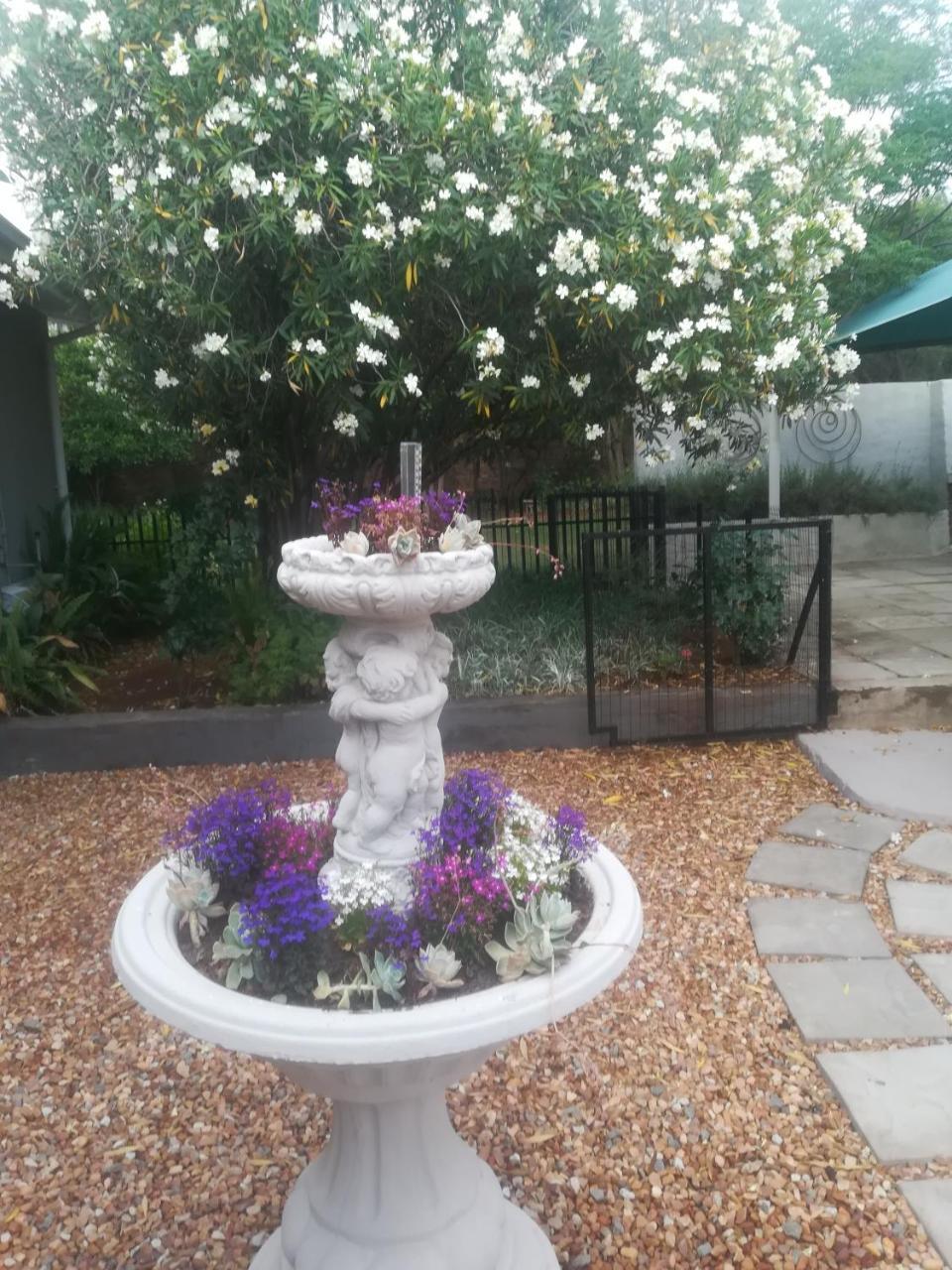Mulberry Place Cradock Buitenkant foto